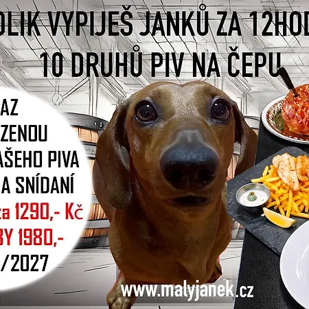 V Arealu Pivovaru Maly Janek S Vlastnim Stanem * Pribram